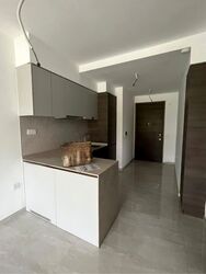 The Florence Residences (D19), Apartment #428188821